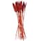 Dried Plant Bunny Tail Natural Foliage with Long Stems